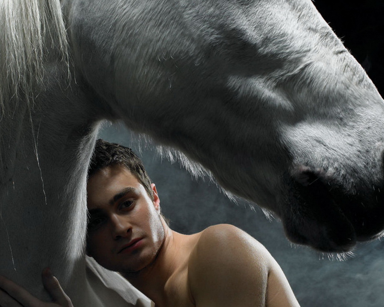 Даниэль Редклифф прижавшись к лошади