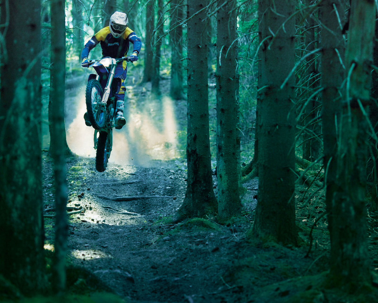 Гонка в лесу