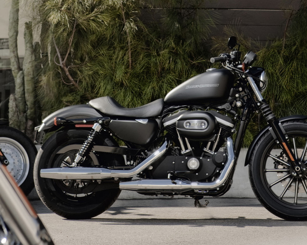 Харлей Девидсон 883