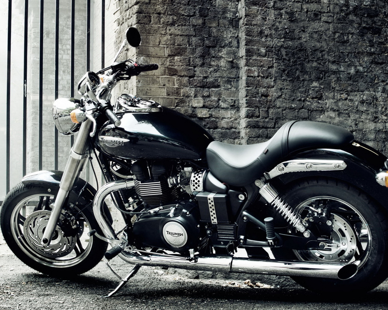 Triumph Speedmaster 2010