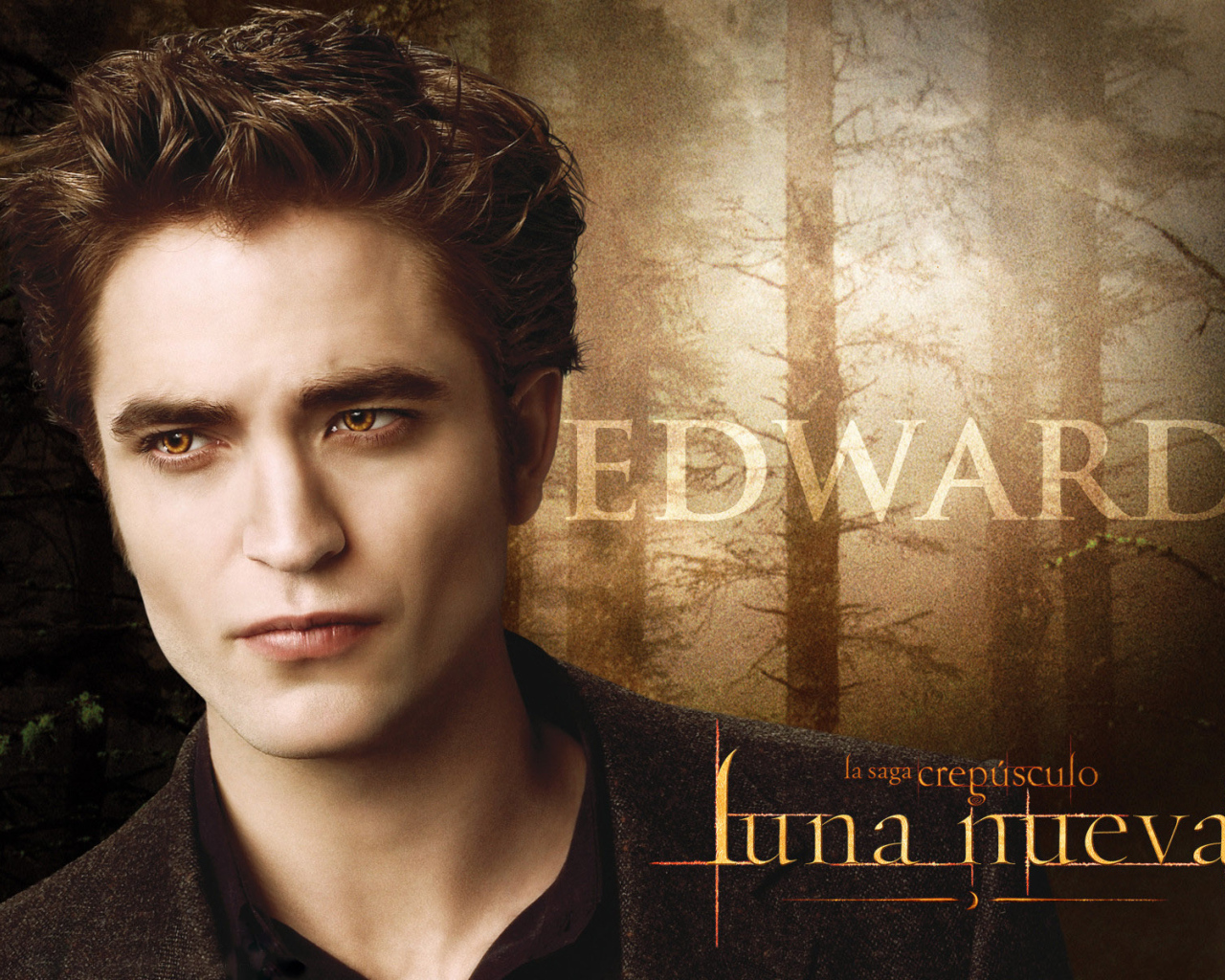Сумерки. Сага. Новолуние