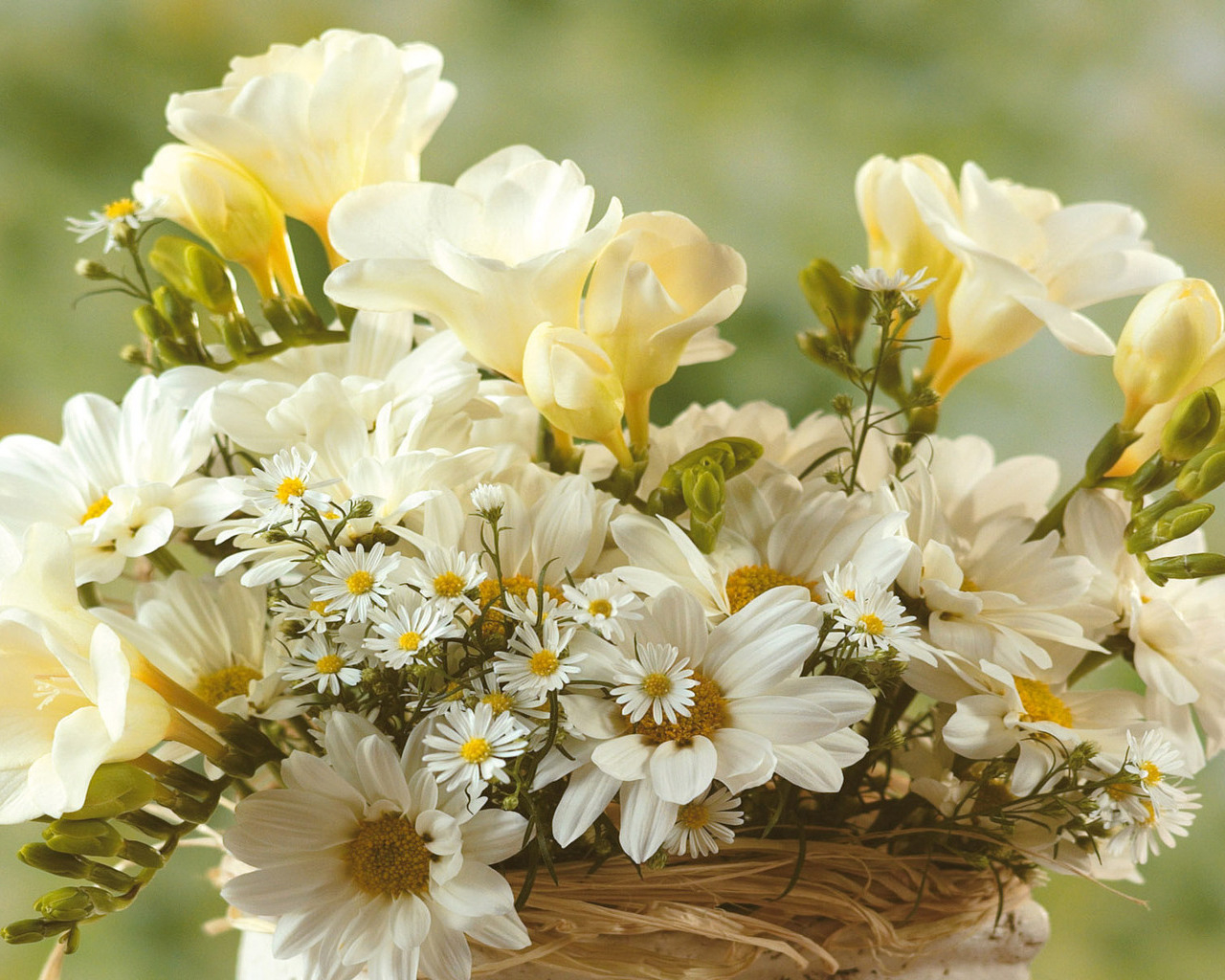 Нежный букет