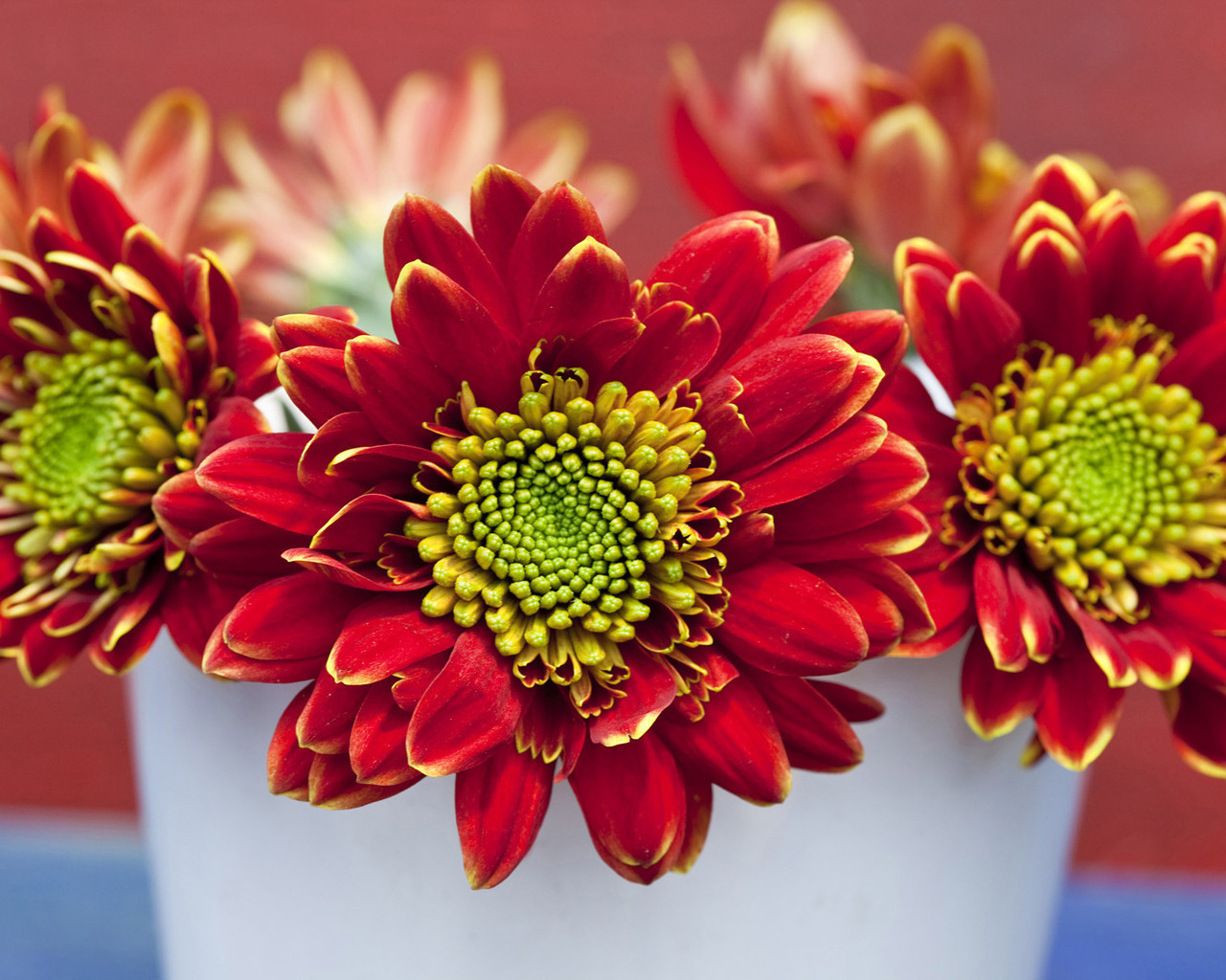 Летний букетик