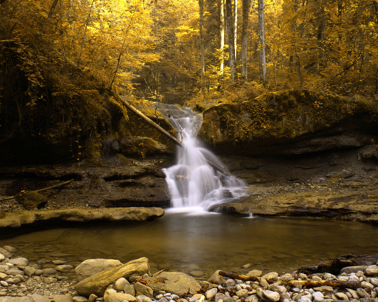 Водопад в желтом лесу