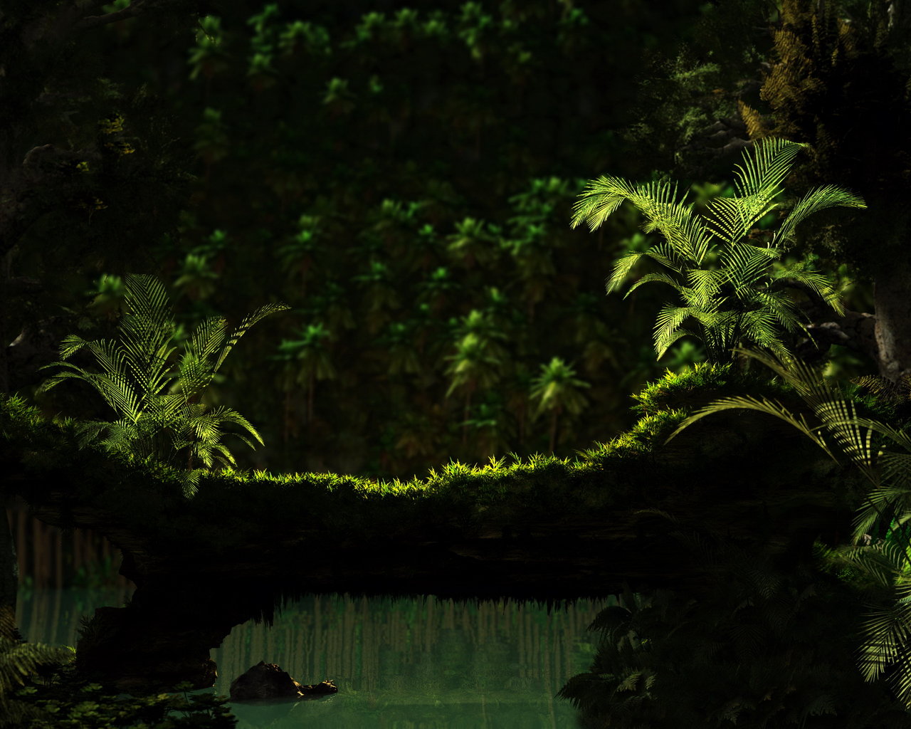 Тропический лес