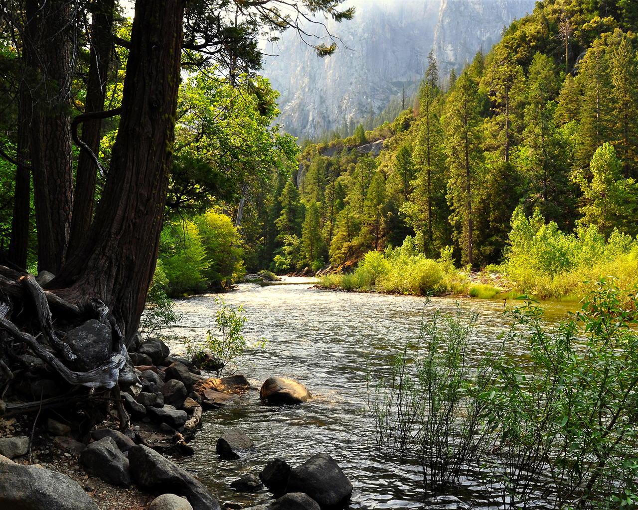 Река в горном лесу