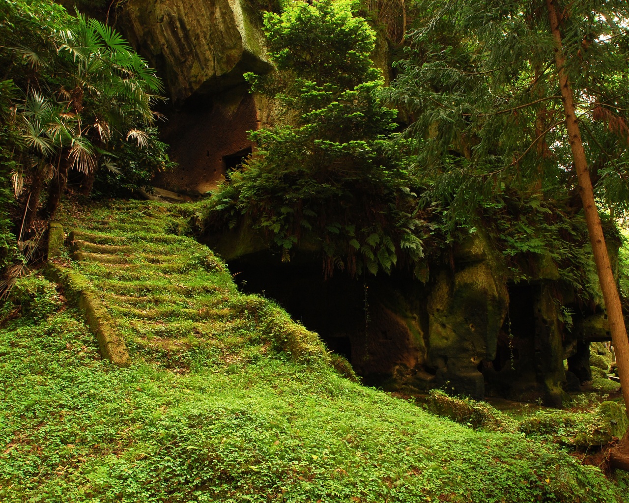 Храм в джунглях