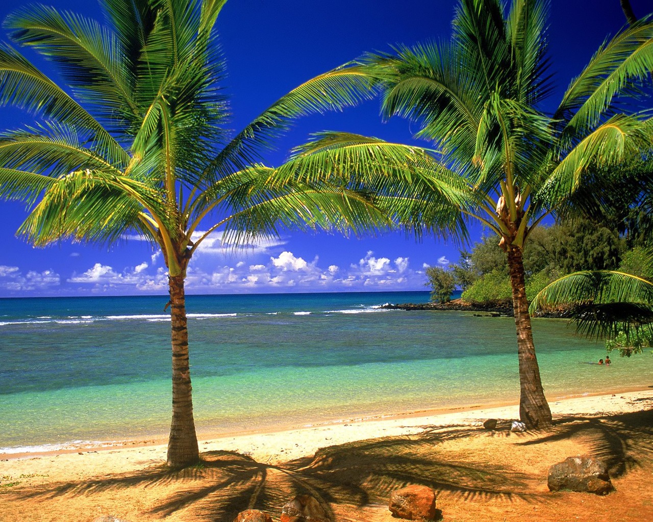 Пальмы, остров, пляж