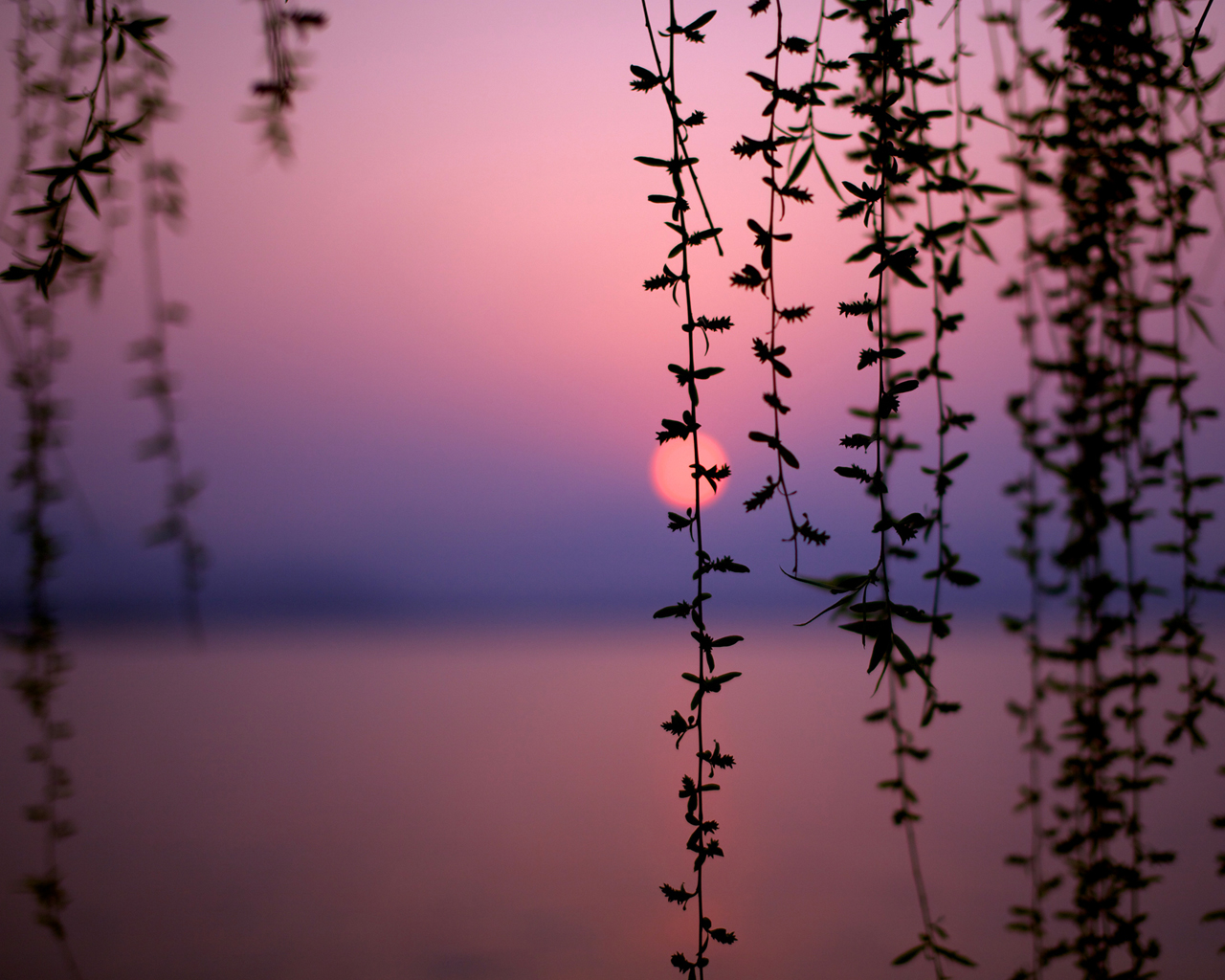 Африканский закат