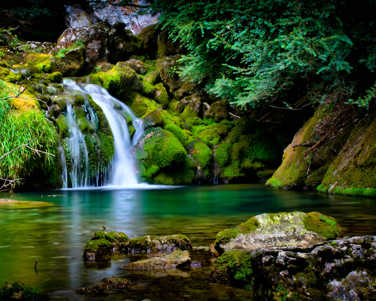 Водопад озеро джунгли