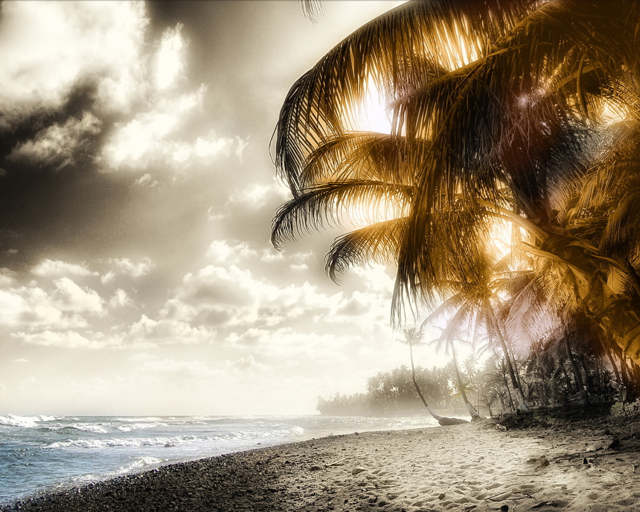 Пляж и пальмы