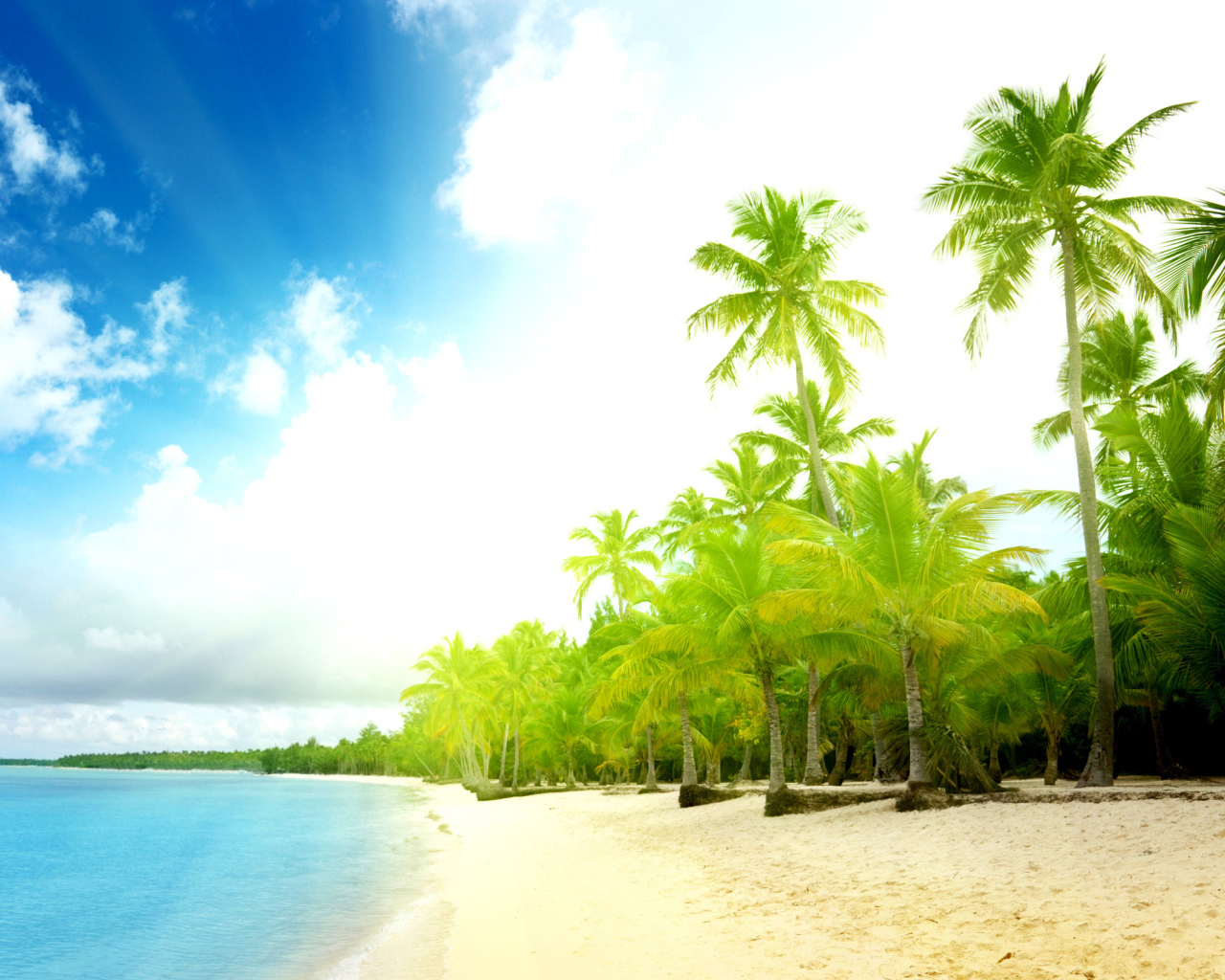 Пальмы на пляже