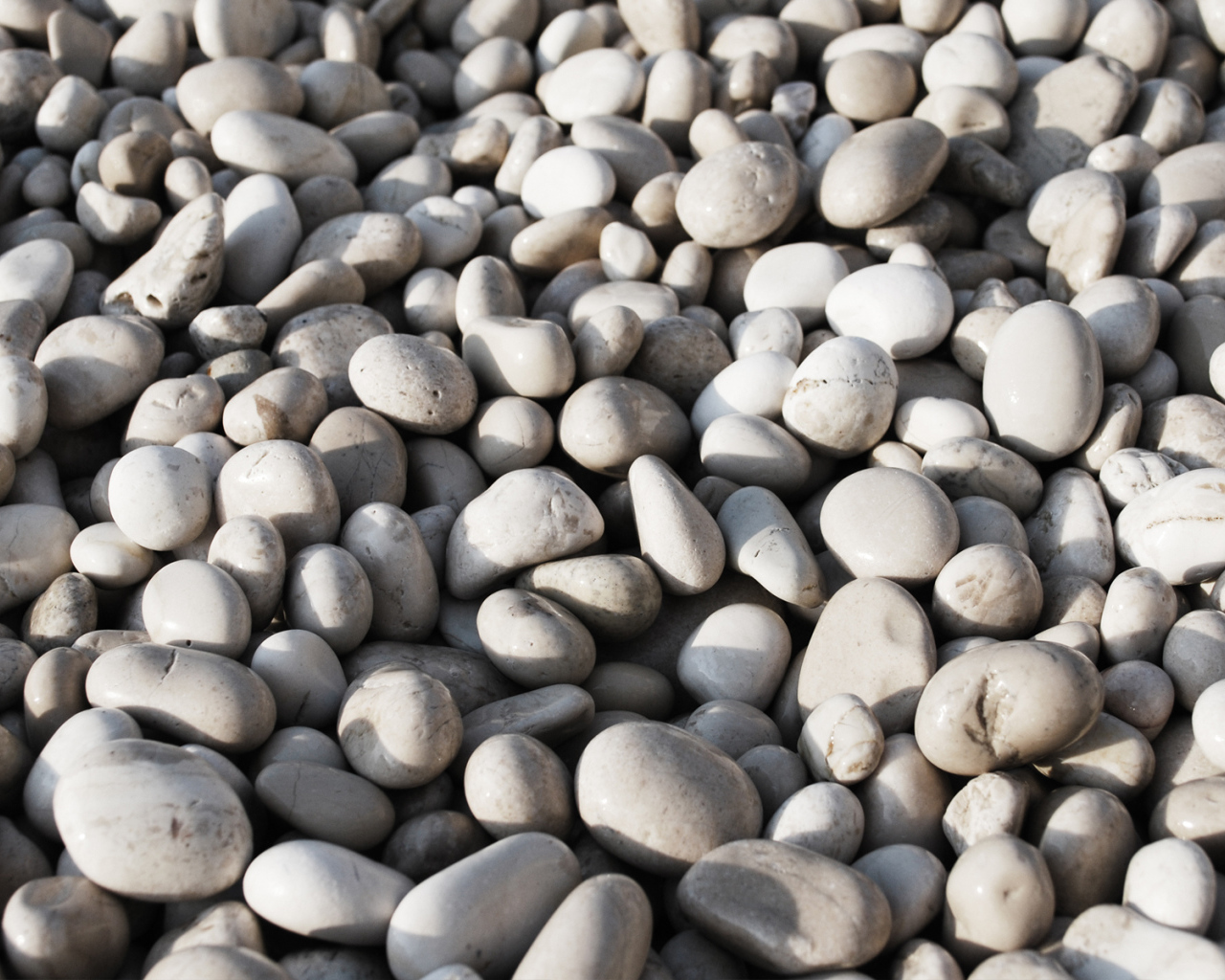 Морская галька