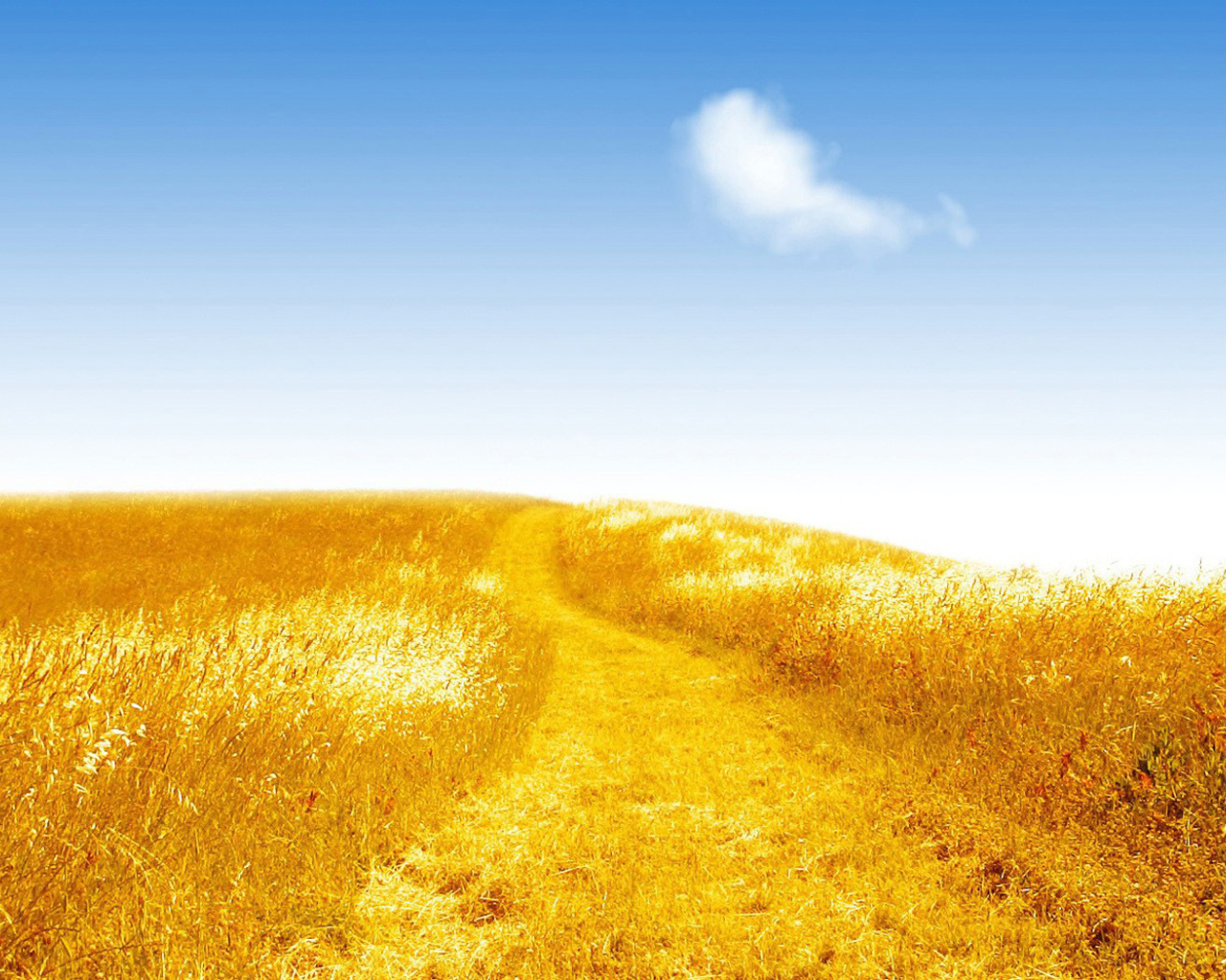 Золотистое поле
