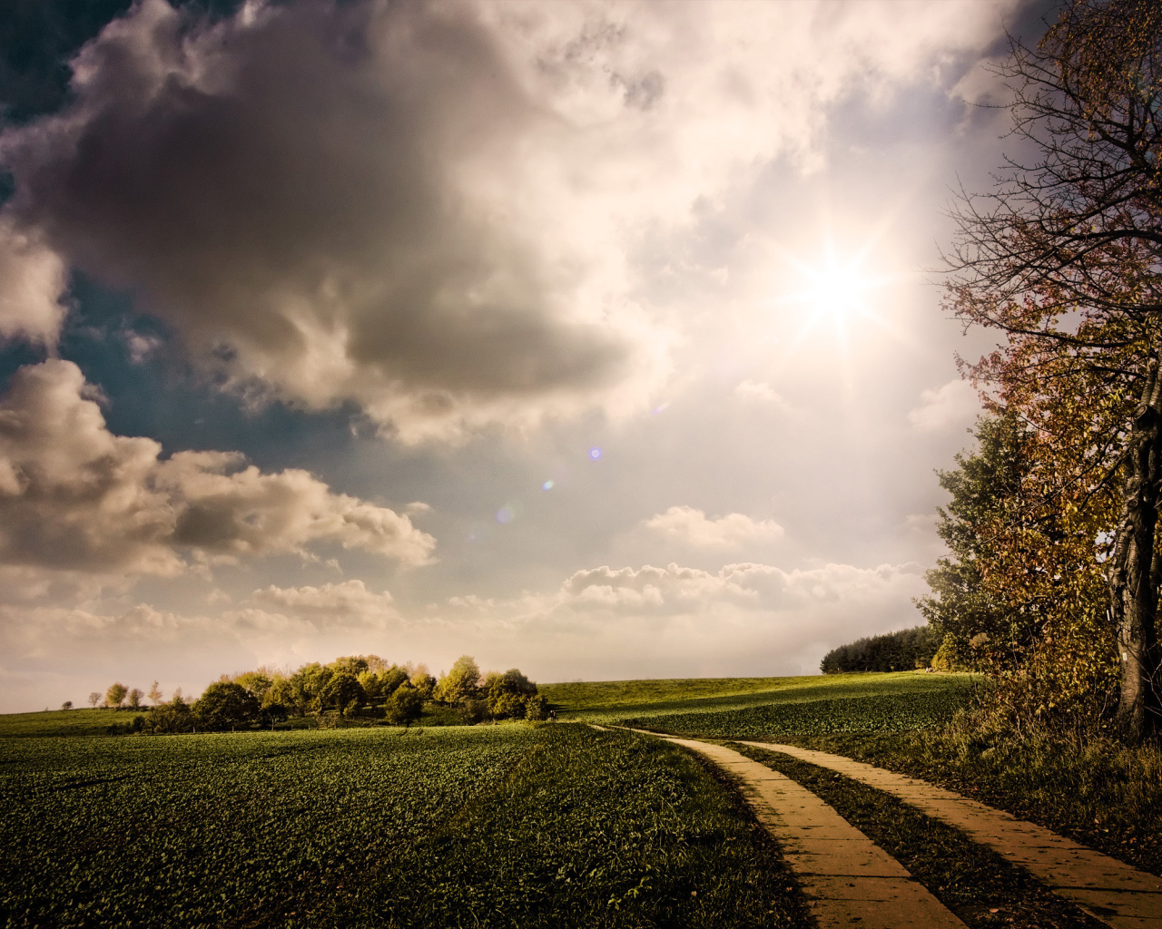 Дорога в поле