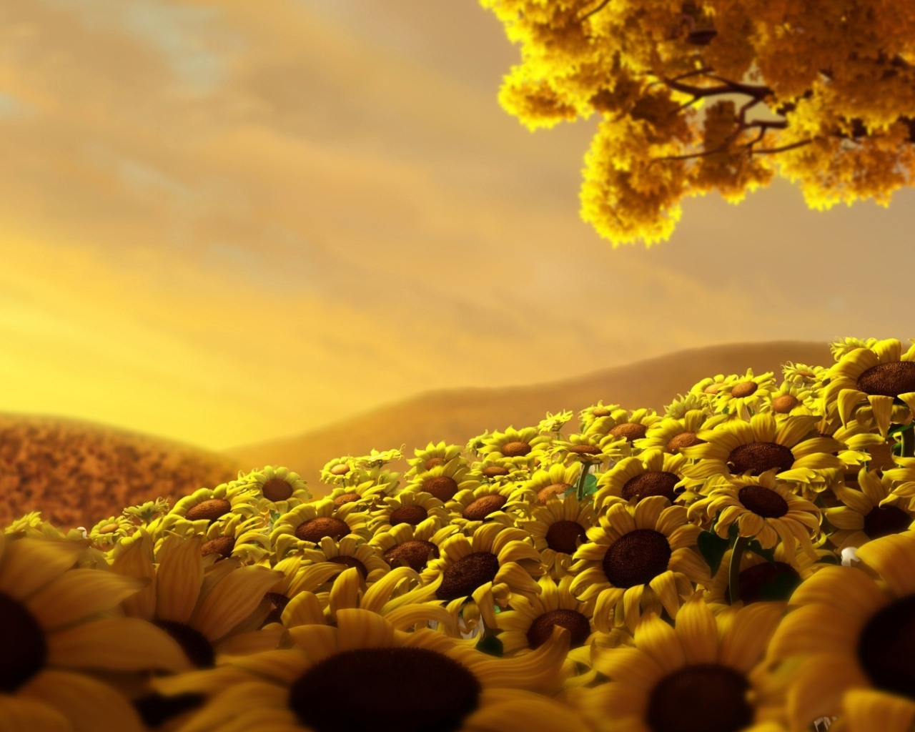 Страна подсолнухов