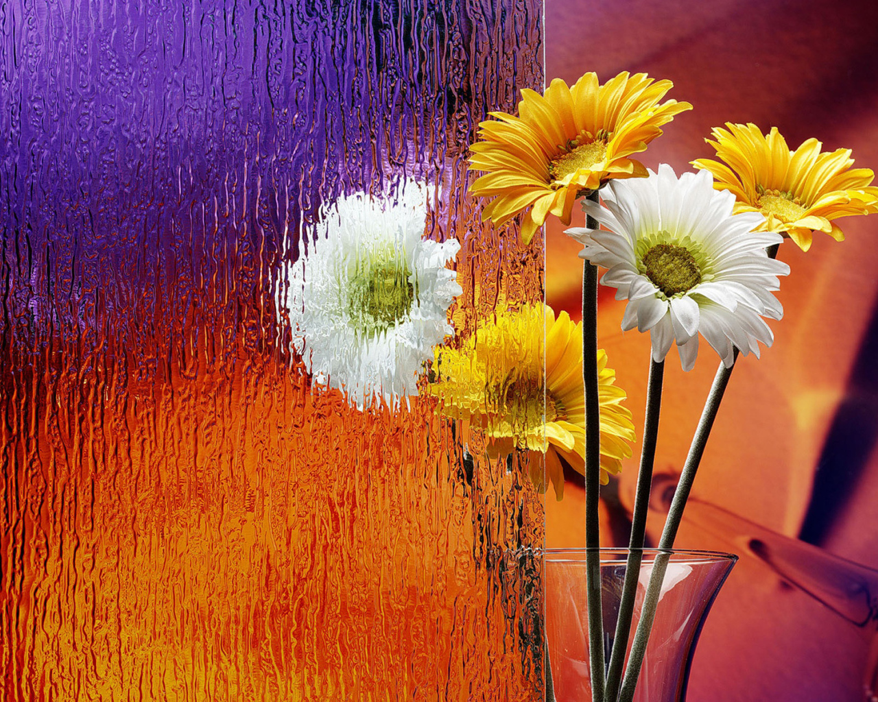 Герберы в вазе