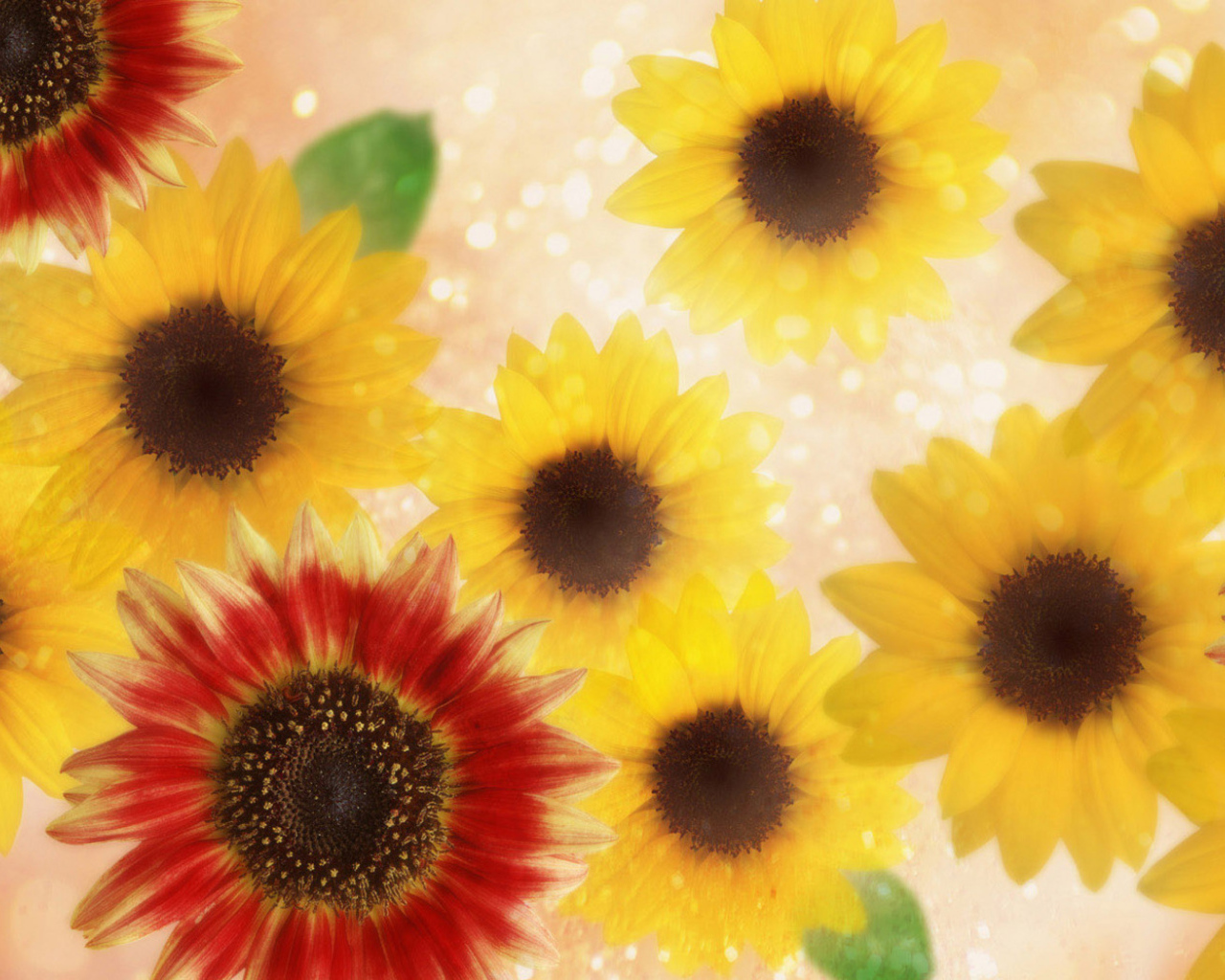 Подсолнухи