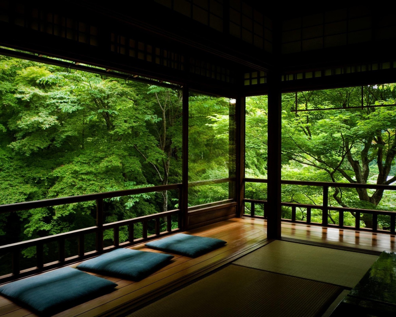 Среди лесной зелени