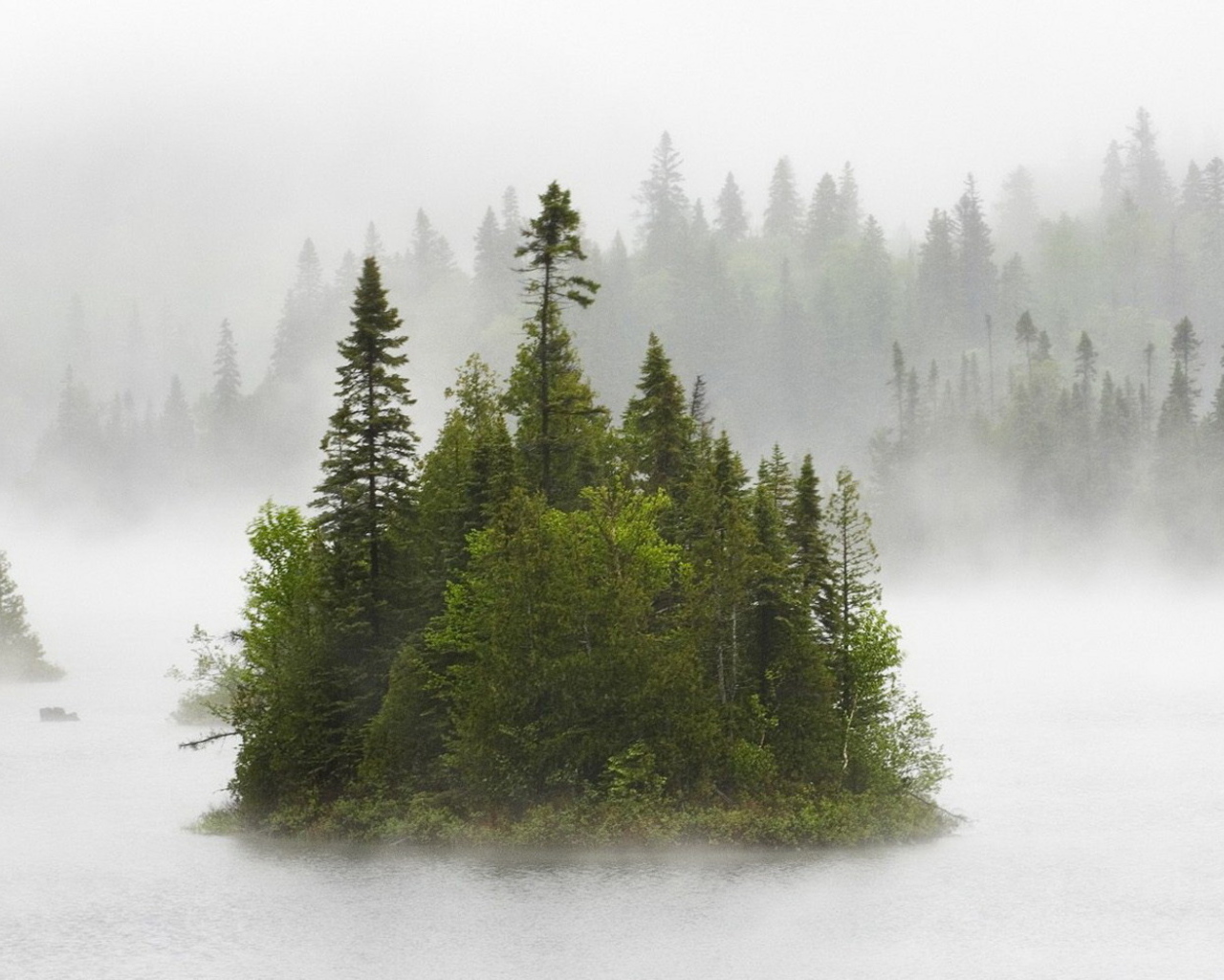 Туманные острова