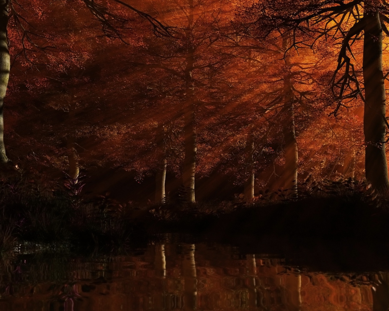 Рыжий лес на закате