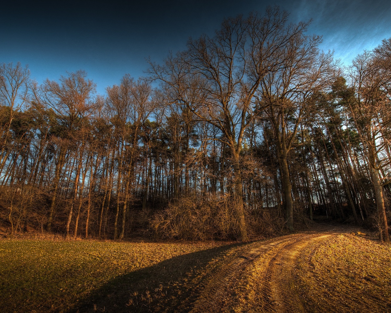 Дорога в лес