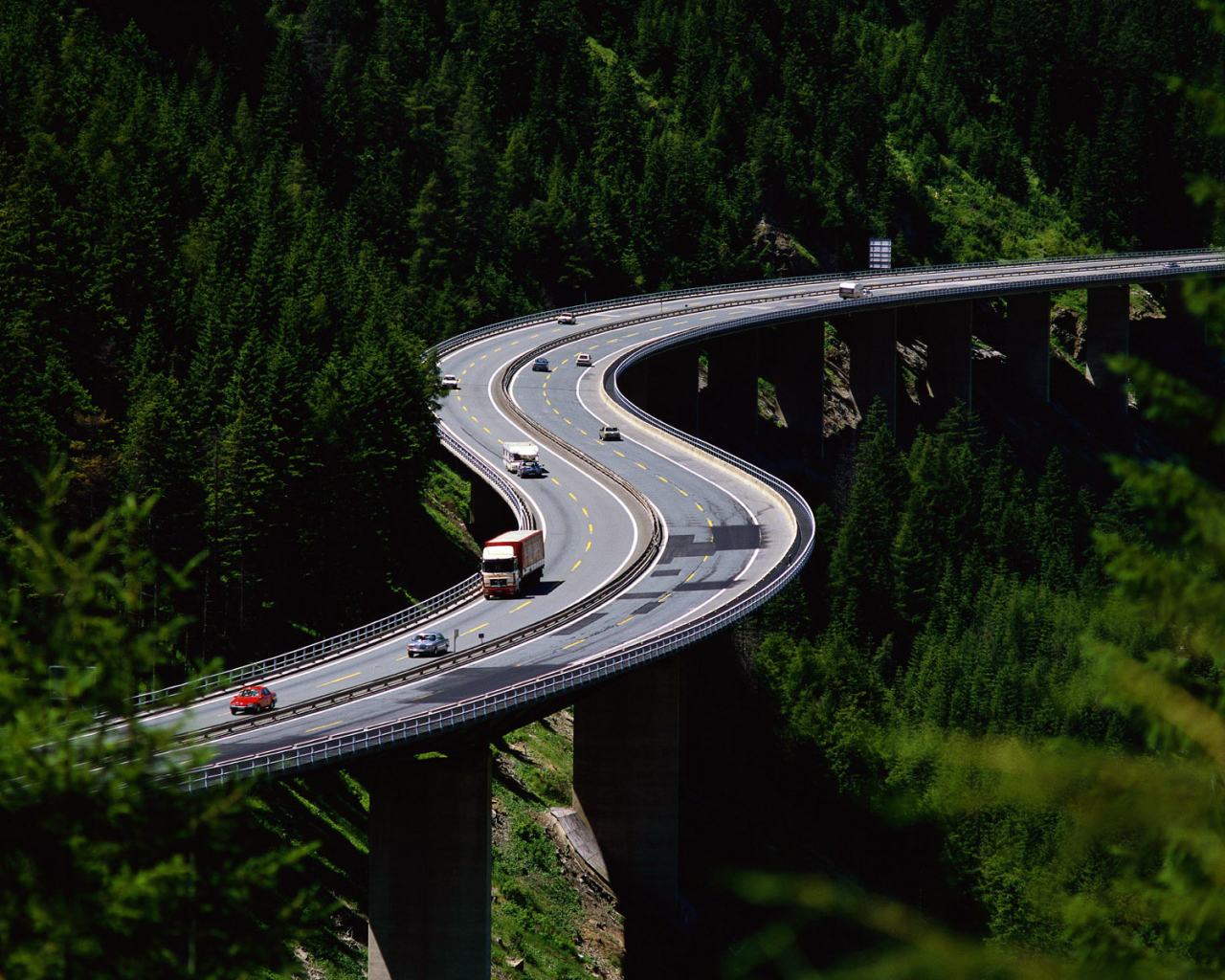 Возвышаясь над деревьями