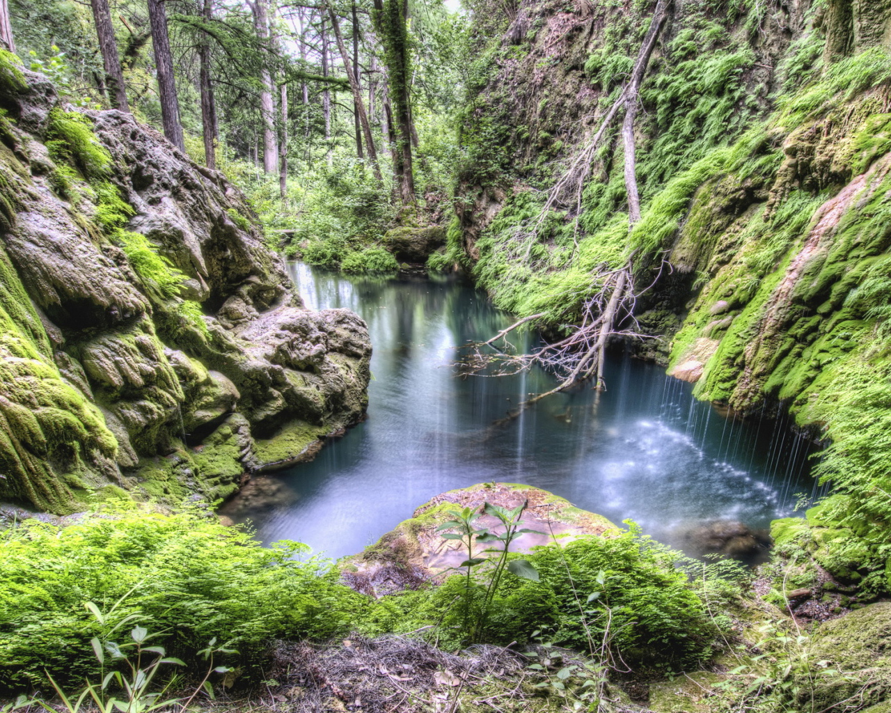 Лес, каменные склоны, ручей