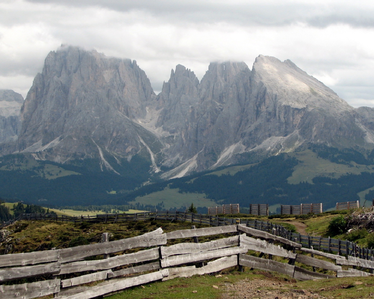 Забор уходящий ввысь