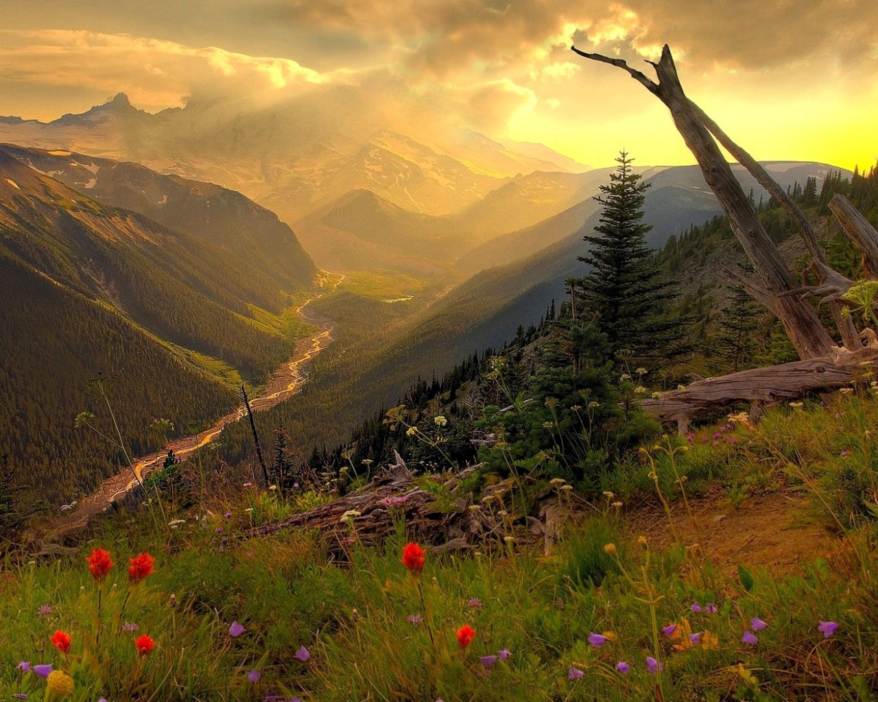 Горная долина