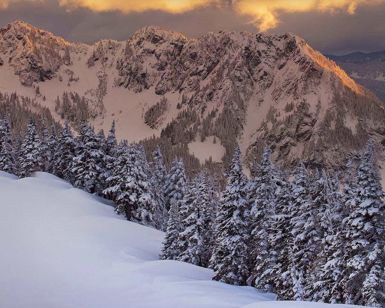 Горная свежесть