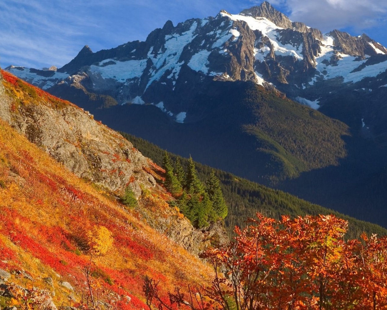 Оранжевый склон