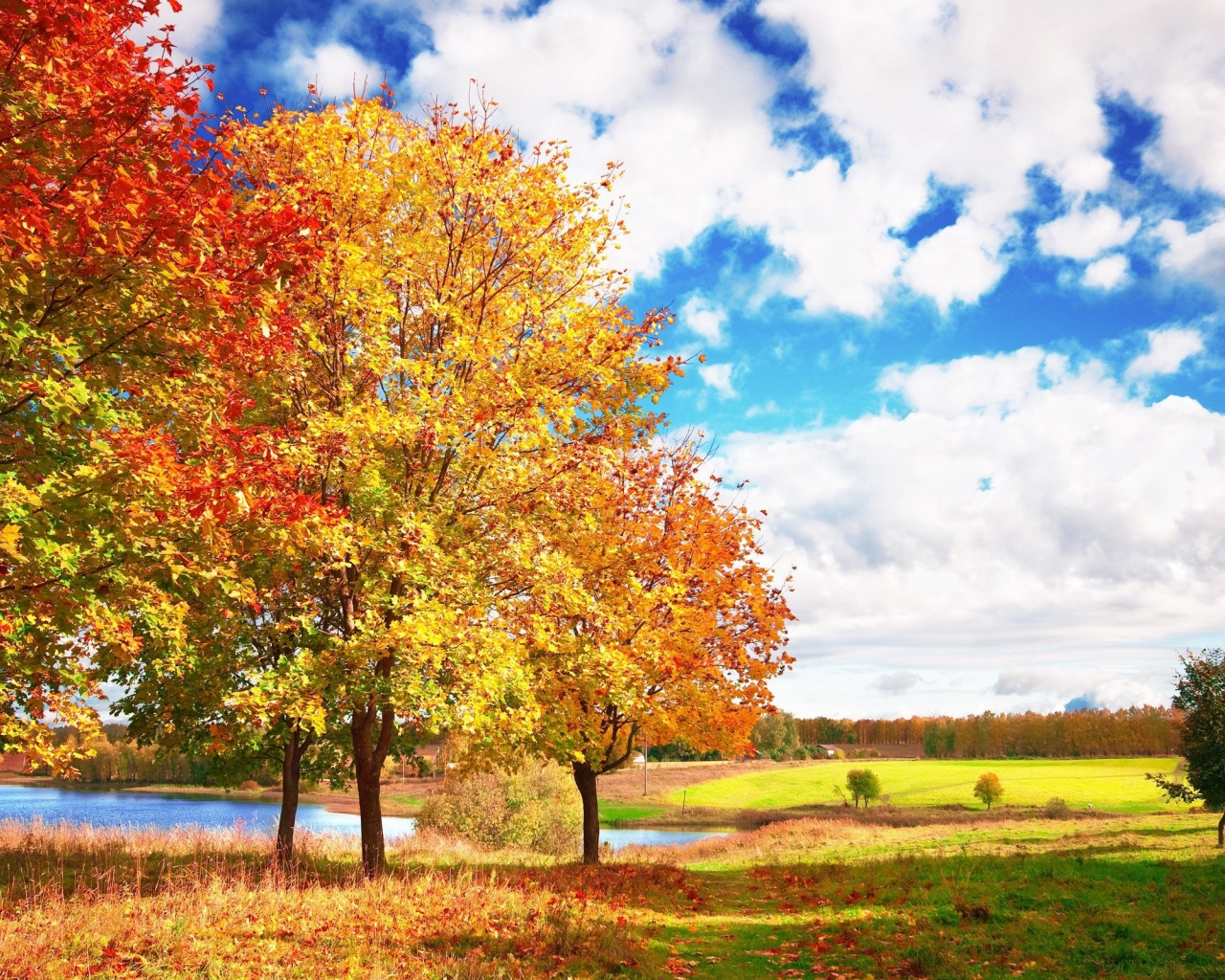 Осенний пейзаж