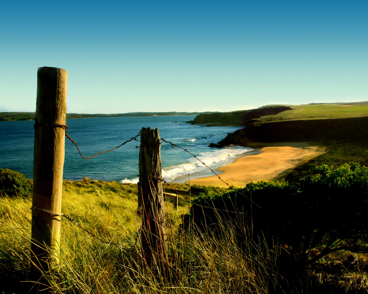 Красота природы