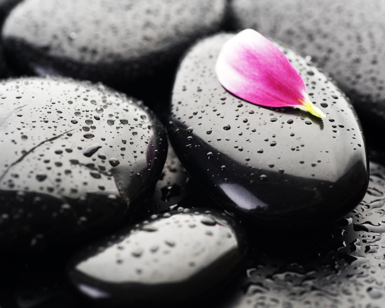 Черные камни