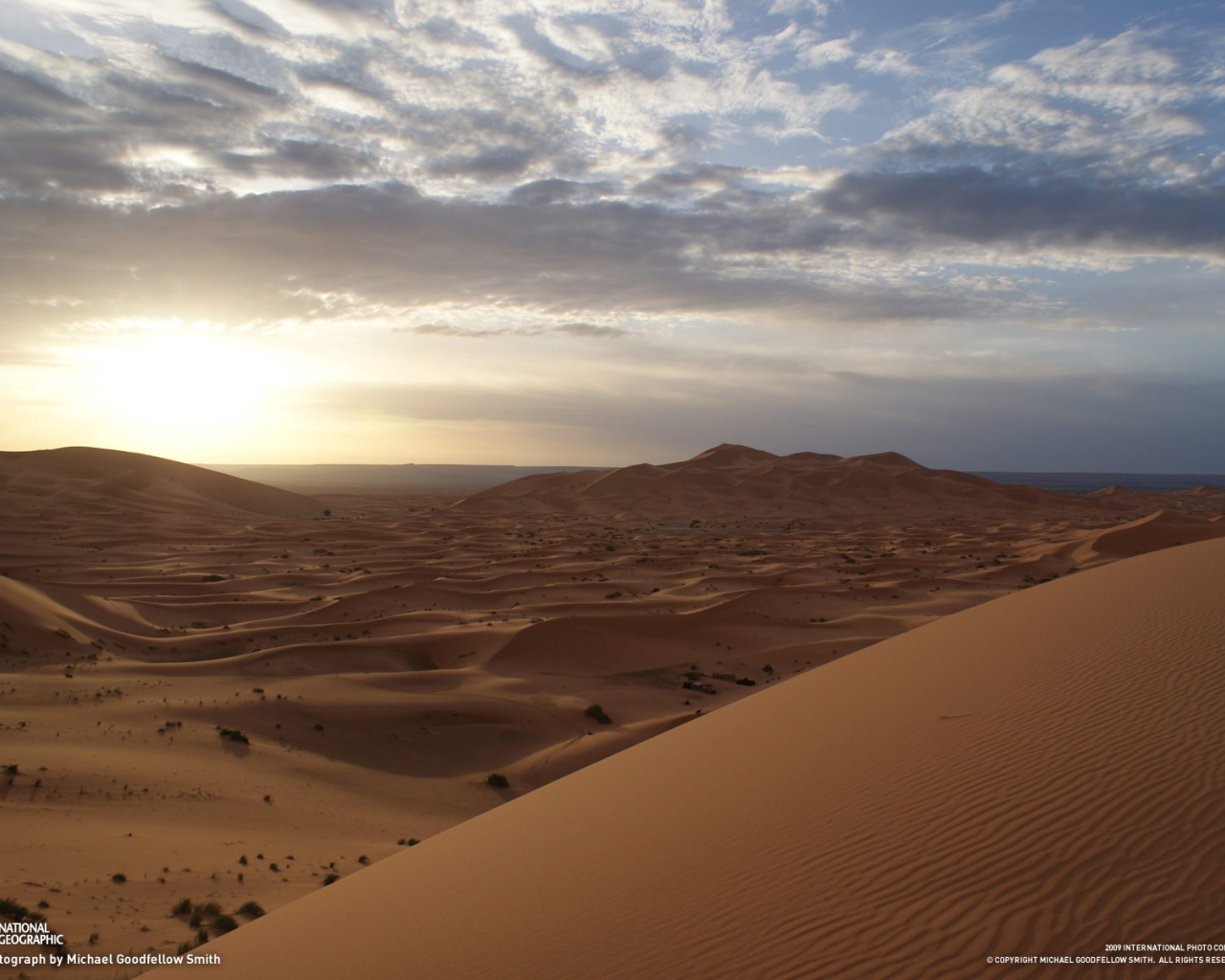 Дюны Пустыня