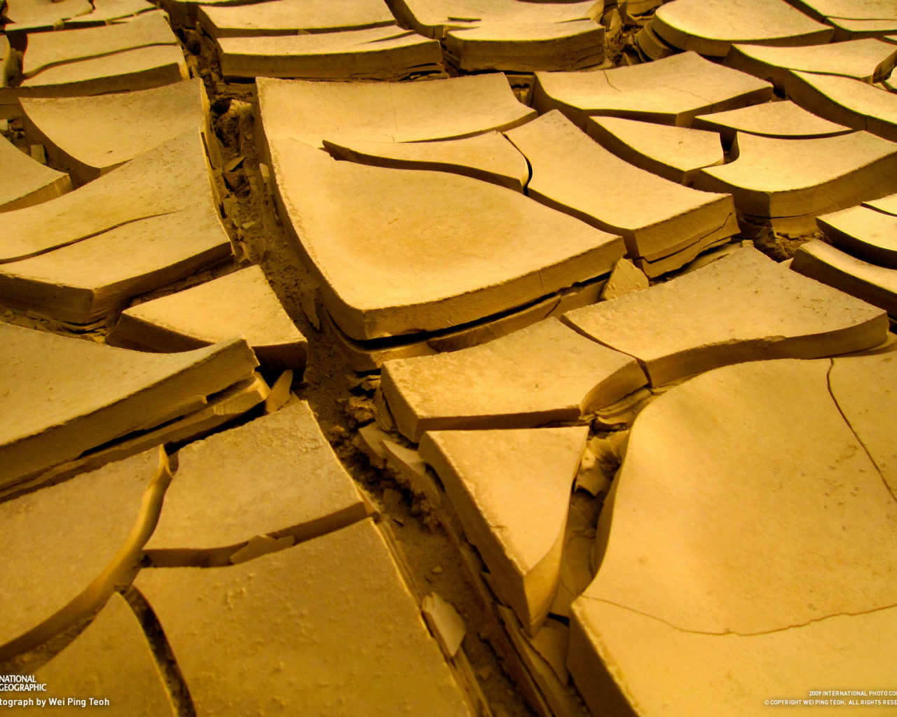 Сухая земля