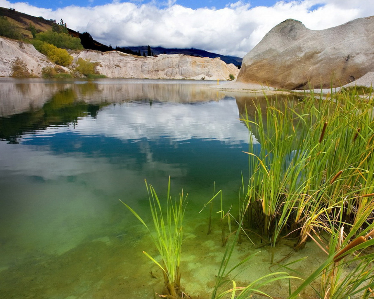 Зеленая вода