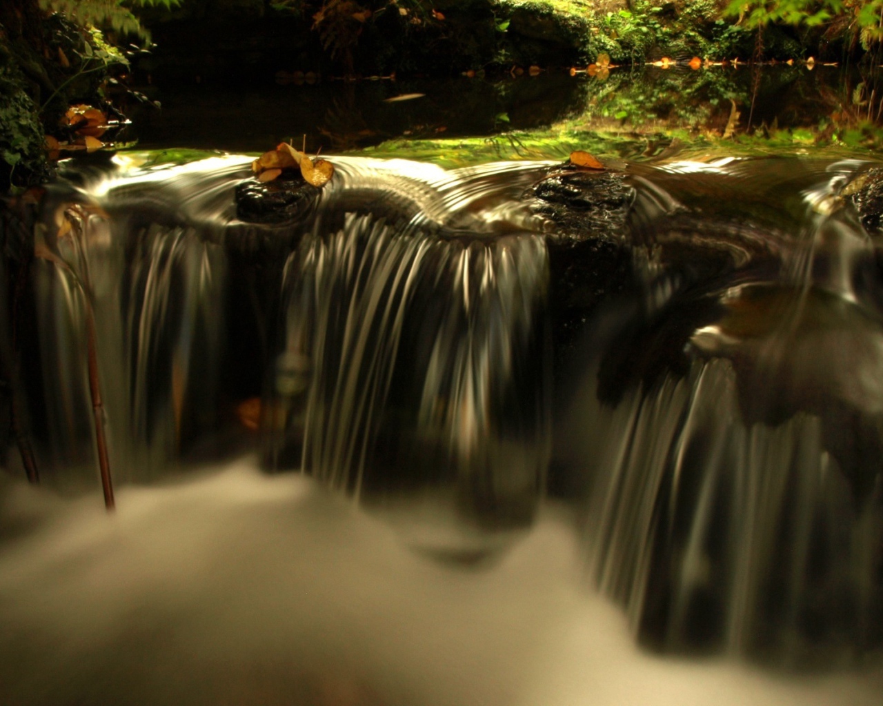 Источник жизни