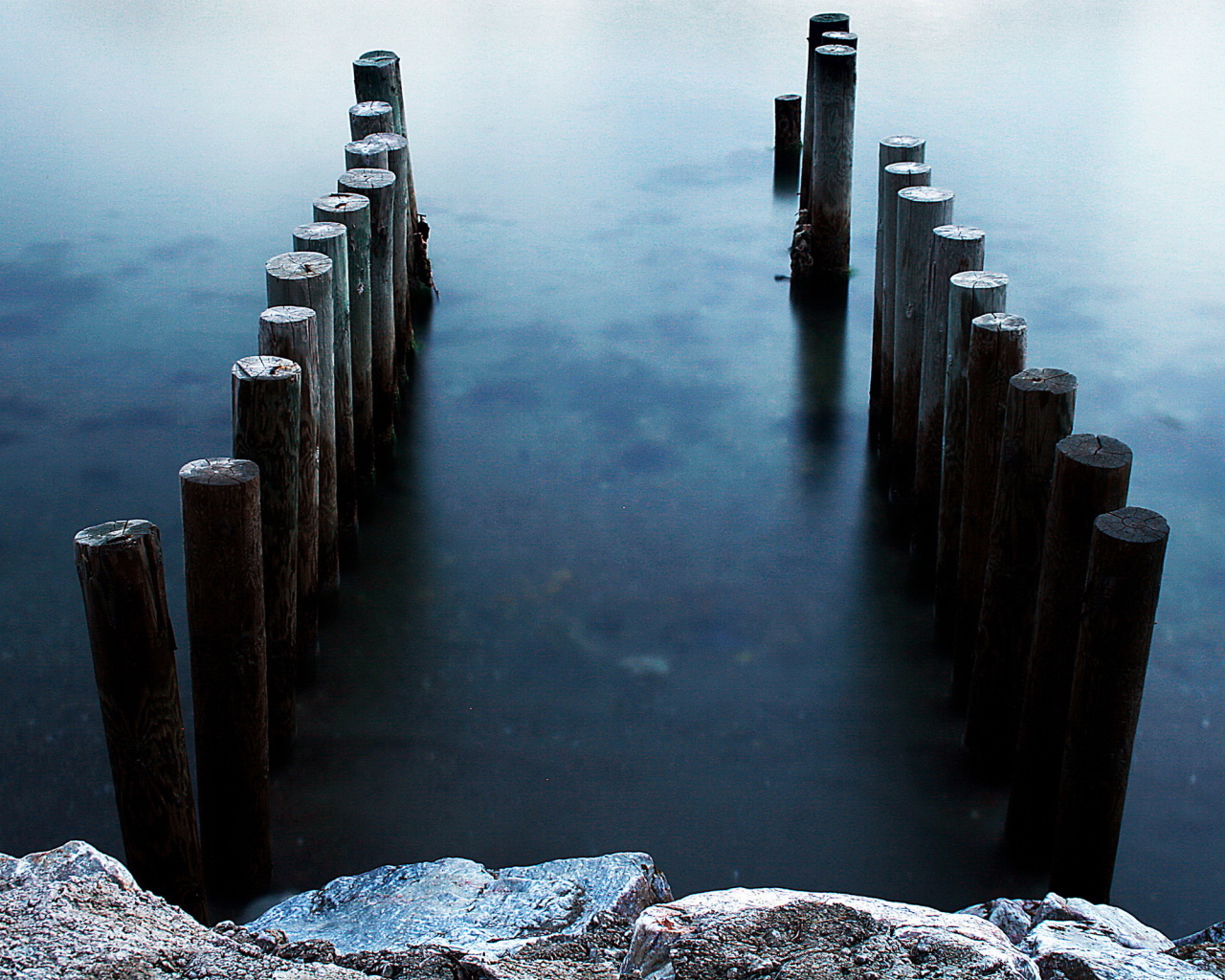 Бревна в воде