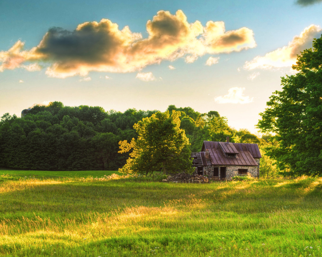 Старый домик на поляне