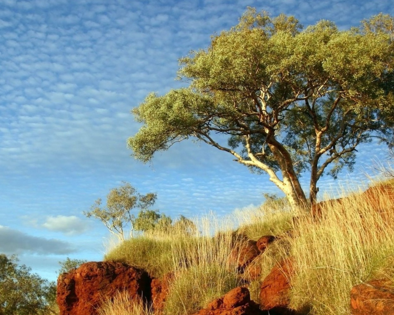 В солнечный день