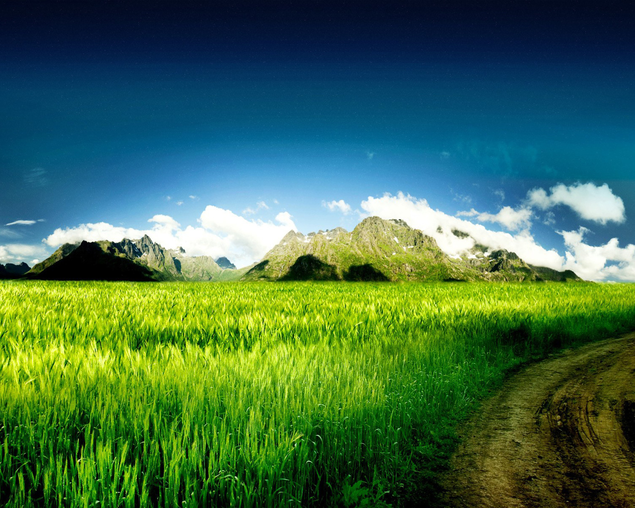 Дорога через поле