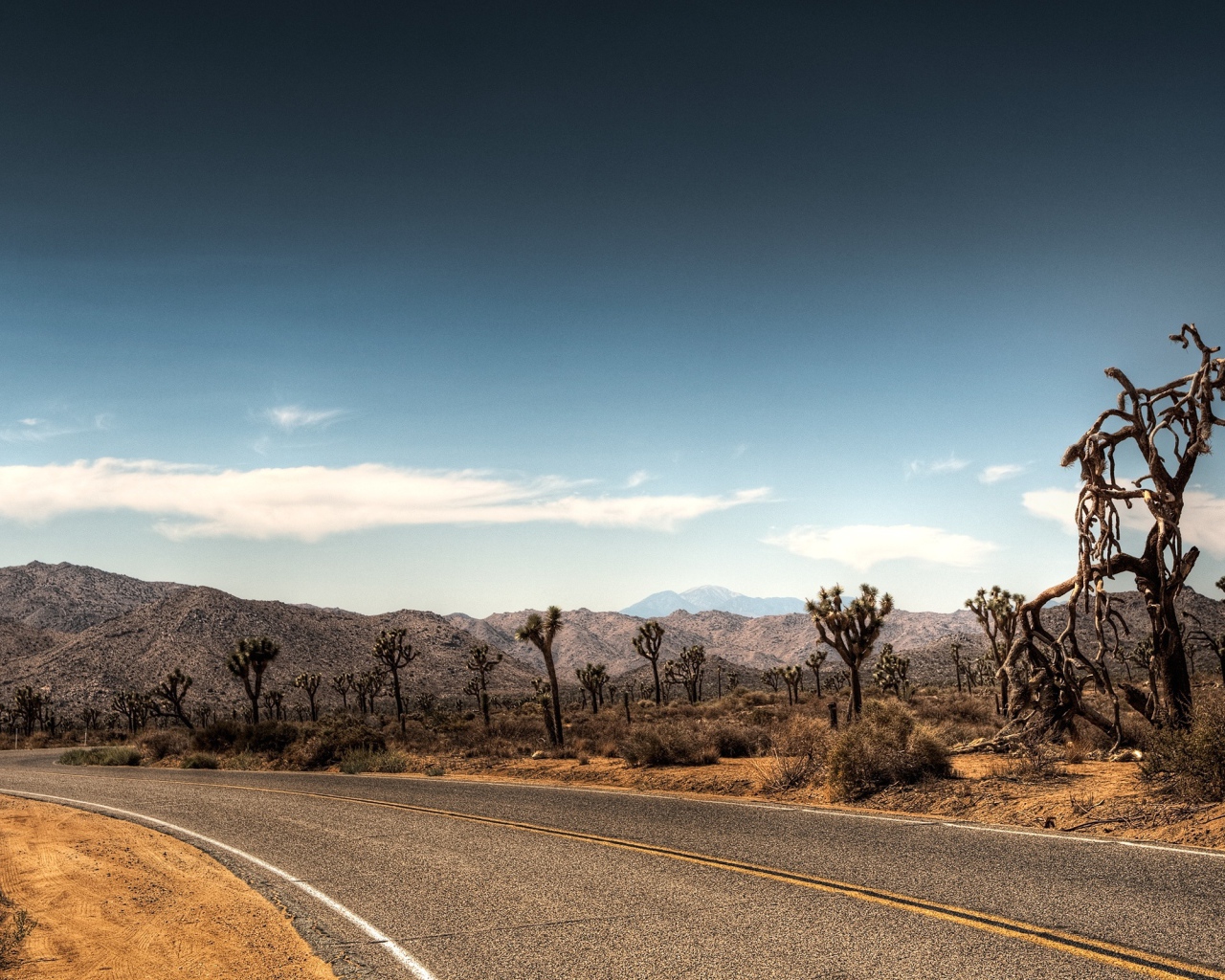Дорога в пустыне