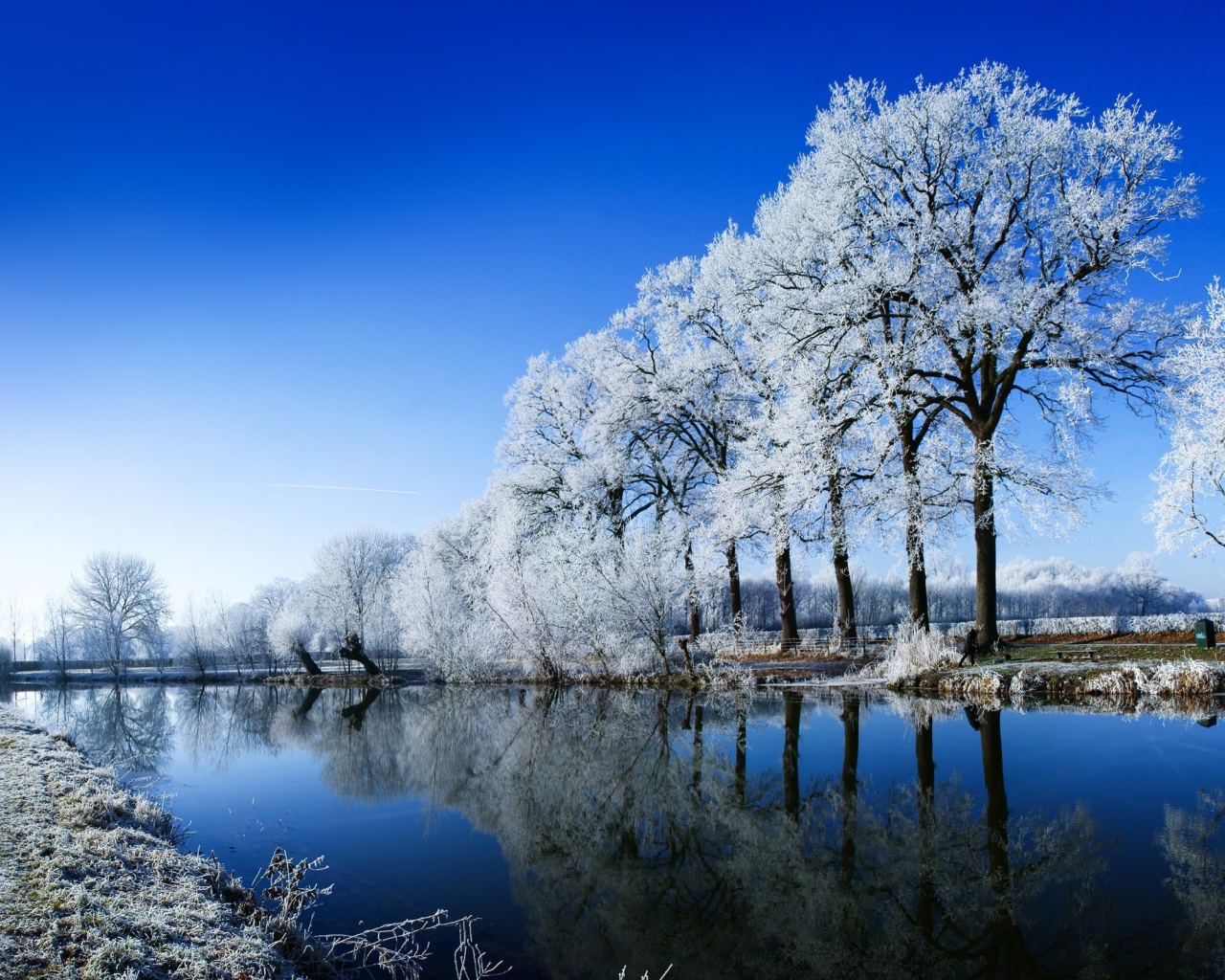 Зимняя свежесть