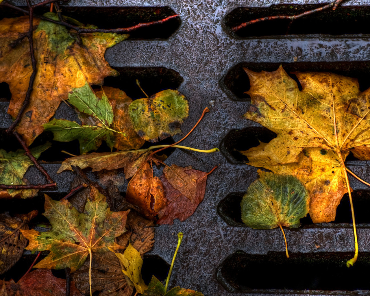 Пожелтевшие листья