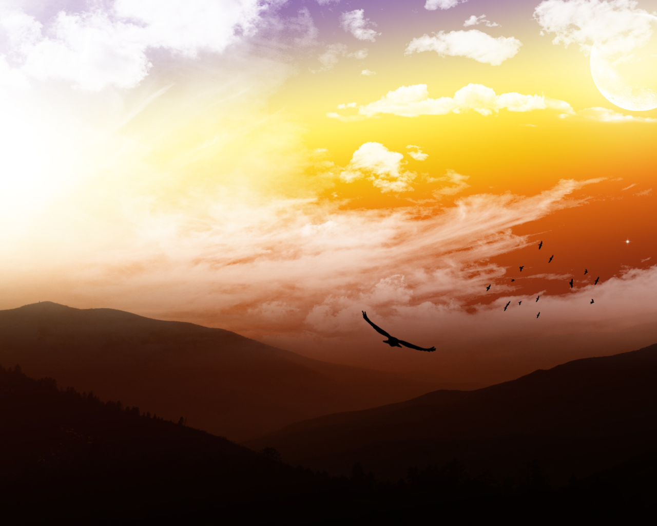 На высоте птичьего полета