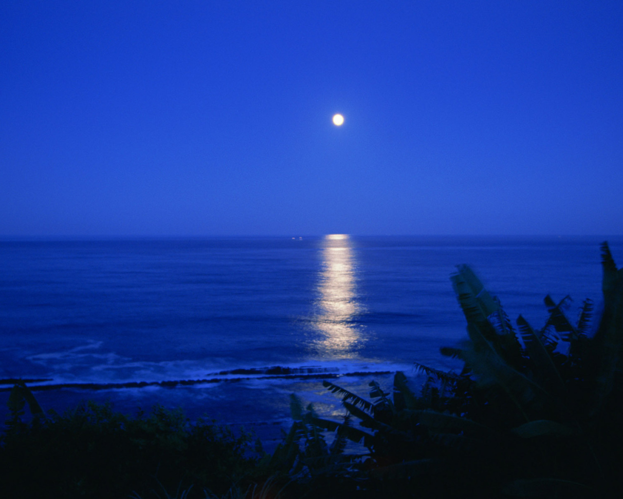 Лунная дорожка