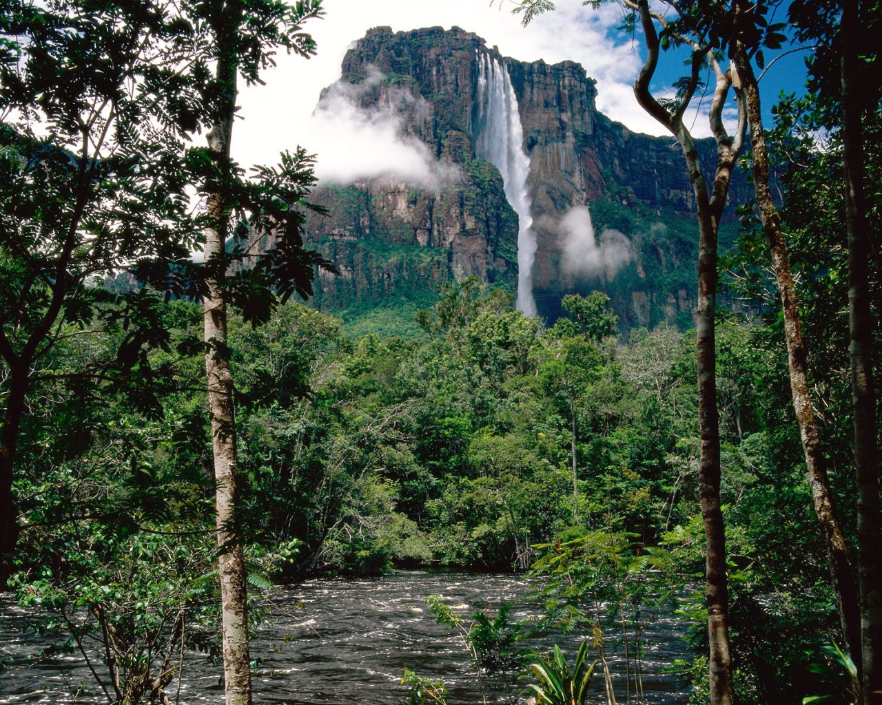 Водопад Ангела Венесуэла
