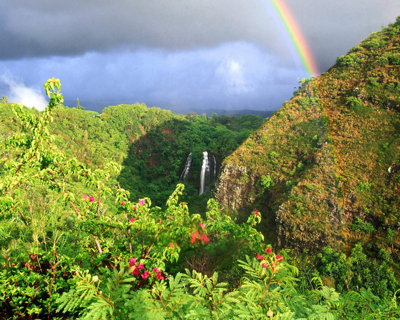 Водопад Опаека Гаваи